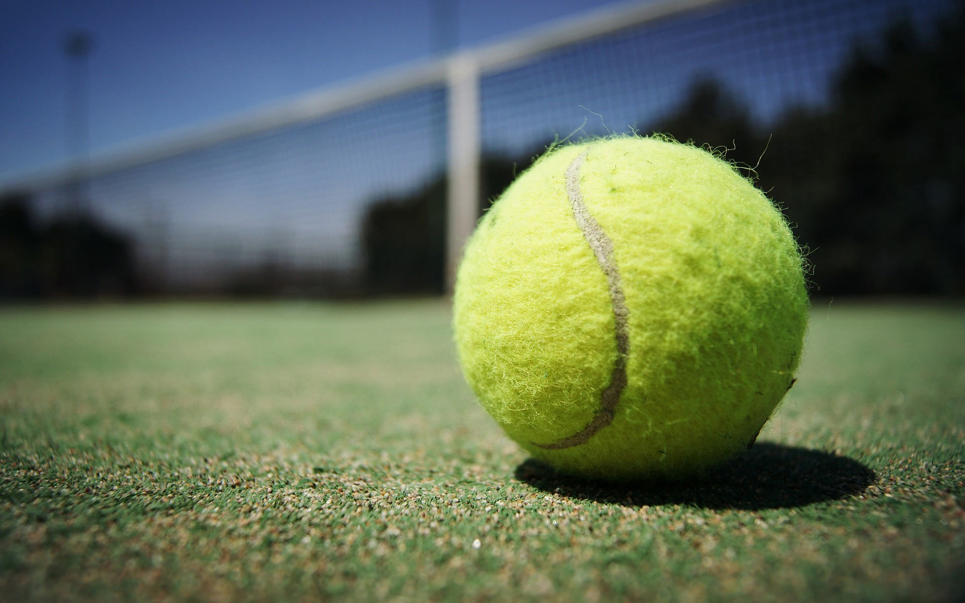 close-up of tennis ball on tennis court